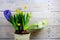 Hyacinths and daffodils in ceramic pots