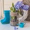 Hyacinths and decorative watering can on the window