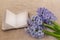 Hyacinths and an open notebook on a canvas background