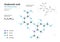 Hyaluronic acid. HA Hyaluronan. Structural chemical formula and molecule 3d model. Atoms with color coding. Vector