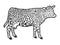 Hybrid cow, leopard fur color. Engraving raster illustration. Sketch.