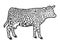 Hybrid cow, leopard fur color. Engraving vector illustration. Sketch.
