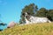 Hybrid dalmatian dog lay on a hill with blue sky