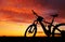 Hybrid Electric Bike with sunset background