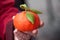 hybrid orange fruit with leaf in hand at the market