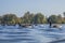 Hyde Park, London - ducks floating on blue waters.