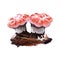 Hydnellum ferrugineum, mealy tooth or reddish brown corky spine mushroom closeup digital art illustration. Boletus has pinky white