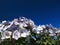 Hydrangea Aspera Macrophylla hortensia flowers
