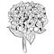 Hydrangea black and white vector illustration for coloring, drawing, tattoo sketching or decoration