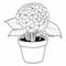 Hydrangea Coloring Page For Children: Easy-to-color Haworthia Fasciata Plant