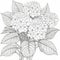Hydrangea Coloring Page: Delicate Flower Illustration For Relaxation
