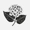 Hydrangea Flower Art: Classic Tattoo Motifs With Minimalistic Elements
