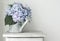 Hydrangea flowers in grunge zinc watering can