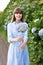 Hydrangea gardening. Portrait of young beautiful woman in long blue dress in magic blooming park in Sao Miguel, Azores