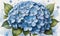 Hydrangea Harmony: Watercolor Blooms Adorned with Dew-Kissed Elegance