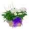 Hydrangea and peace lily flower arrangement