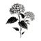 Hydrangea Silhouette: Classic Tattoo Motif In Black And White
