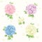 Hydrangea vector set, cards, seamless pattern, background