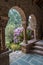 Hydrangeas bush and arch in the Romanesque Abbey of Saint Martin