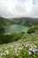 Hydrangeas flowers on the volcano