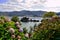 Hydrangeas in Os Castelos rocks on the beach of Seiramar, between Covas a Sacido, in Viveiro, Lugo, Galicia. Spain. Europe. Octobe