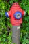 Hydrant in bush