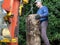 Hydraulic log splitting machine attached to a tractor the machine is being used to split large wooden logs