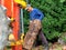 Hydraulic log splitting machine attached to a tractor the machine is being used to split large wooden logs