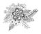 Hydrengea Flower doodle drawing freehand , Coloring page with doodle