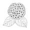 Hydrengea Flower doodle drawing freehand , Coloring page with doodle