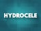 Hydrocele is a type of swelling in the scrotum that occurs when fluid collects in the thin sheath surrounding a testicle, text