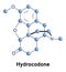 Hydrocodone dihydrocodeinone opioid