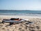 Hydrofoil unmounted on the beach