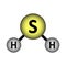 Hydrogen sulphide molecule icon