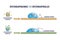 Hydrophobic vs hydrophilic surface effect on water drop outline diagram