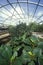 Hydroponic farming at the University of Arizona Environmental Research Laboratory in Tucson, AZ