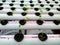 Hydroponic growing media using rockwool