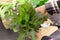 Hydroponic lettuce in hand in kitchen