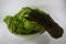 Hydroponic lettuce rotten