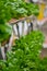 Hydroponic vertical farming systems