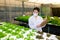Hydroponics farm, Scientist or Worker testing and collect data from lettuce organic hydroponic.