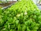 Hydroponics is a subset of hydroculture and is a method of grow