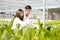 Hydroponics, two Asian scientists, tested the standards and collected chemical data of the organic vegetables grown using