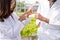 Hydroponics, two Asian scientists, tested the standards and collected chemical data of the organic vegetables grown using