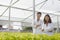 Hydroponics, two Asian scientists, tested the standards and collected chemical data of the organic vegetables grown using