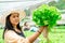 Hydroponics Vegetable Closeup in the hands of an asian woman The farm owner checks the quality of vegetables