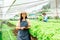 Hydroponics vegetable farm owner, Asian woman checking the quality of greens before picking them up for sale. Grow vegetables