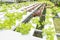 The Hydroponics vegetables Green oak lettuce growing in plastic pipes at Smart farms with hydroponics systems