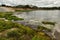 Hydrothermal field in the Uzon Caldera. Kronotsky Nature Reserve