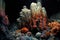 hydrothermal vent surrounded by tube worms